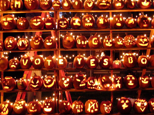 shelves filled with carved and lit pumpkins, some spelling out words like "vote"